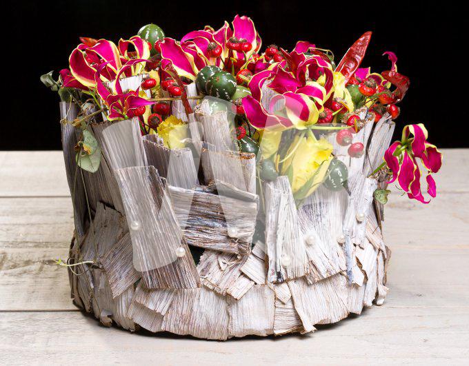 bloemen en planten vvbvanbree     1064